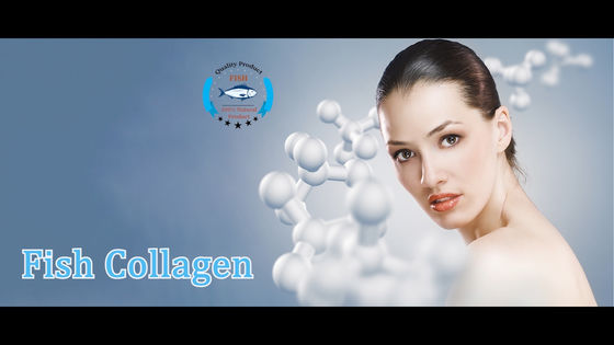 95 per cento solubili in acqua cascer del pesce del collagene del tripeptide della proteina