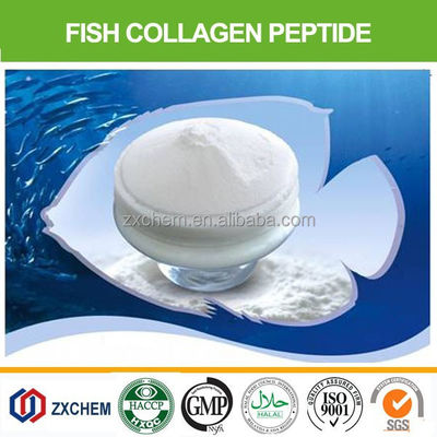 Alto assorbimento Marine Hydrolyzed Fish Collagen Peptides commestibile