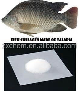 Alto assorbimento Marine Hydrolyzed Fish Collagen Peptides commestibile