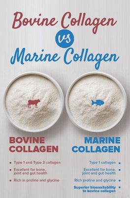 Polvere idrolizzata fresca della proteina del collagene del manzo di Antivari di energia