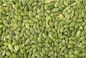 80 Meshe \ S 60 per cento di zucca del seme della polvere organica della proteina